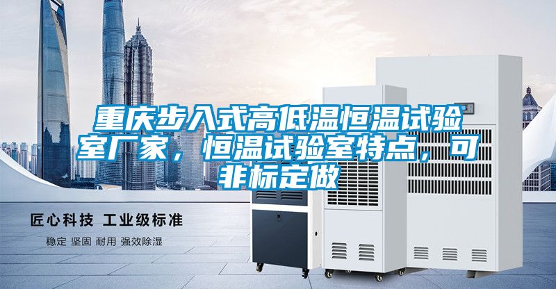 重慶步入式高低溫恒溫試驗(yàn)室廠家，恒溫試驗(yàn)室特點(diǎn)，可非標(biāo)定做
