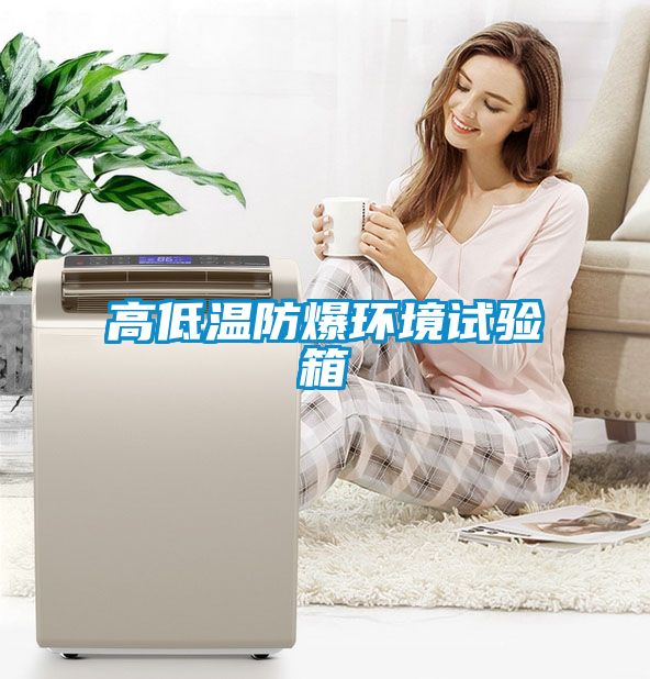 高低溫防爆環(huán)境試驗(yàn)箱
