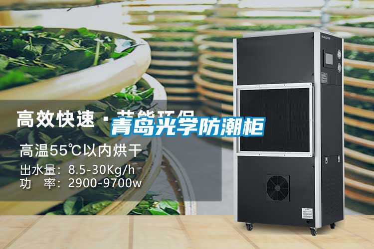 青島光學防潮柜