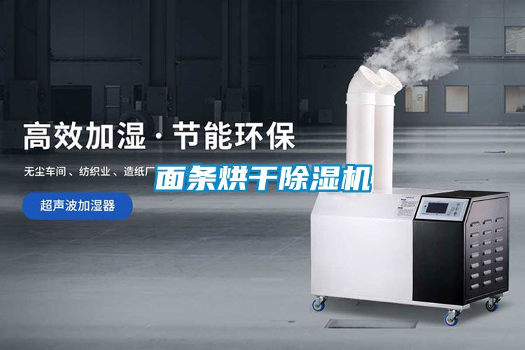 面條烘干除濕機