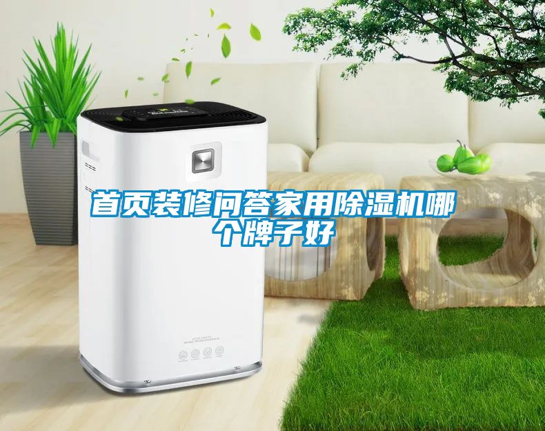 首頁裝修問答家用除濕機(jī)哪個(gè)牌子好