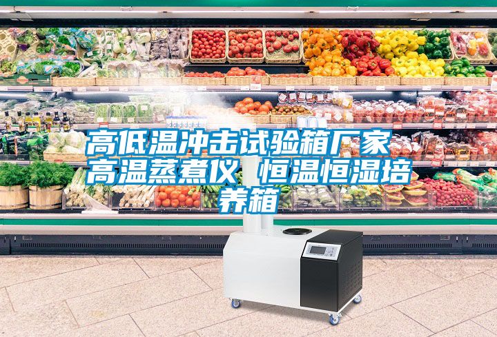 高低溫沖擊試驗箱廠家 高溫蒸煮儀 恒溫恒濕培養箱