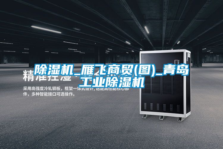 除濕機_雁飛商貿(mào)(圖)_青島工業(yè)除濕機