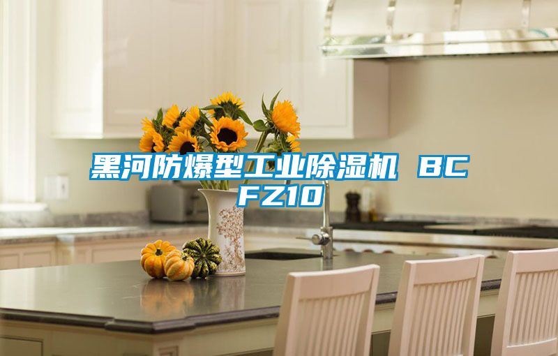 黑河防爆型工業(yè)除濕機(jī) BCFZ10