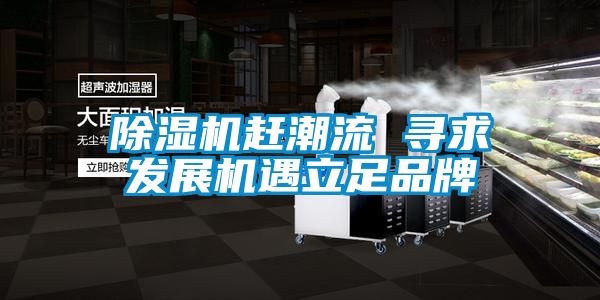 除濕機(jī)趕潮流 尋求發(fā)展機(jī)遇立足品牌