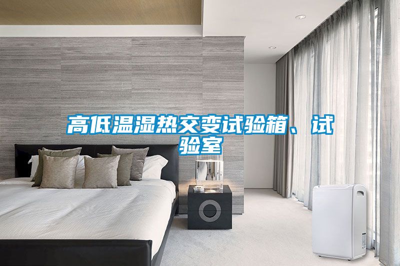 高低溫濕熱交變?cè)囼?yàn)箱、試驗(yàn)室