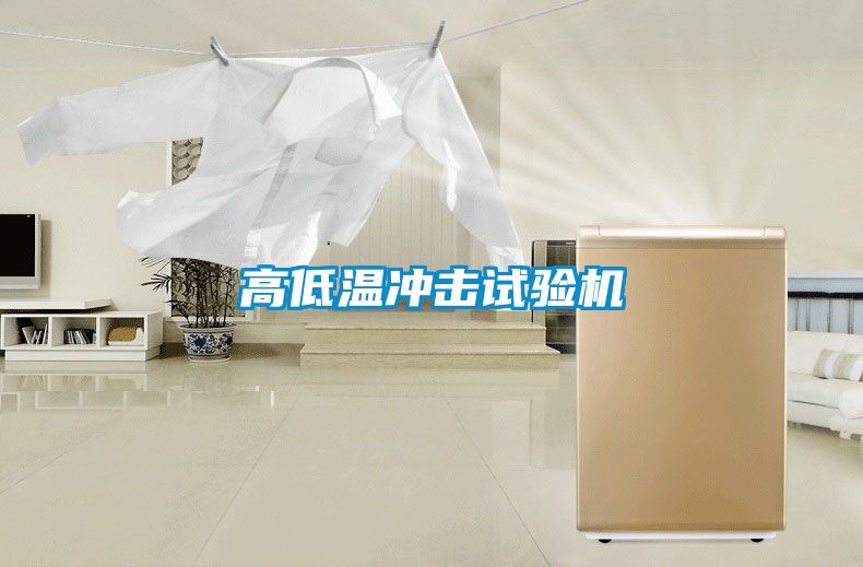 高低溫沖擊試驗機