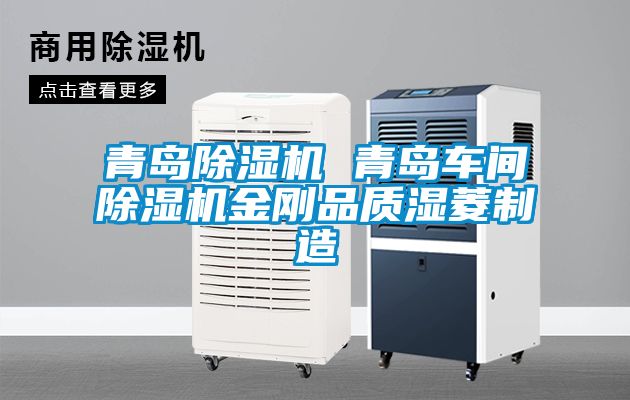 青島除濕機 青島車間除濕機金剛品質濕菱制造