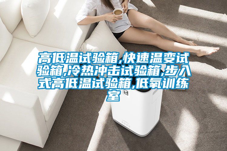 高低溫試驗(yàn)箱,快速溫變試驗(yàn)箱,冷熱沖擊試驗(yàn)箱,步入式高低溫試驗(yàn)箱,低氧訓(xùn)練室
