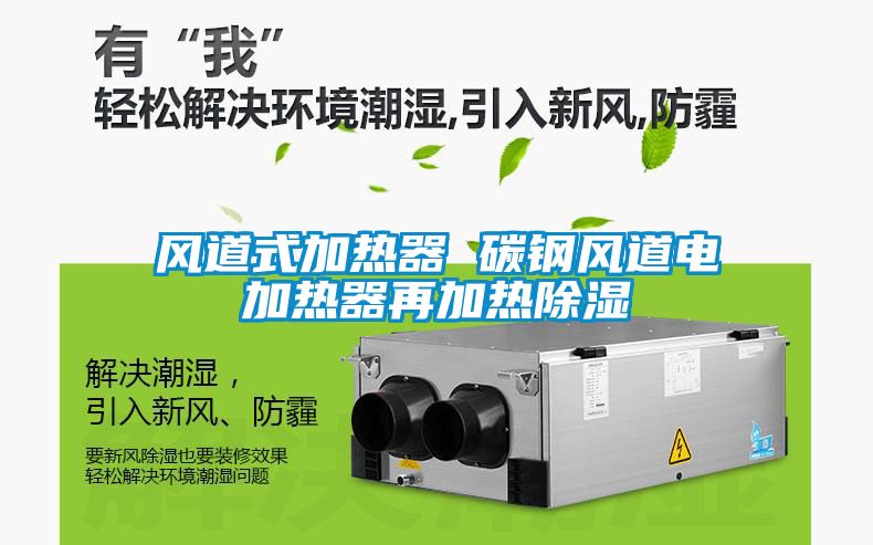 風道式加熱器 碳鋼風道電加熱器再加熱除濕
