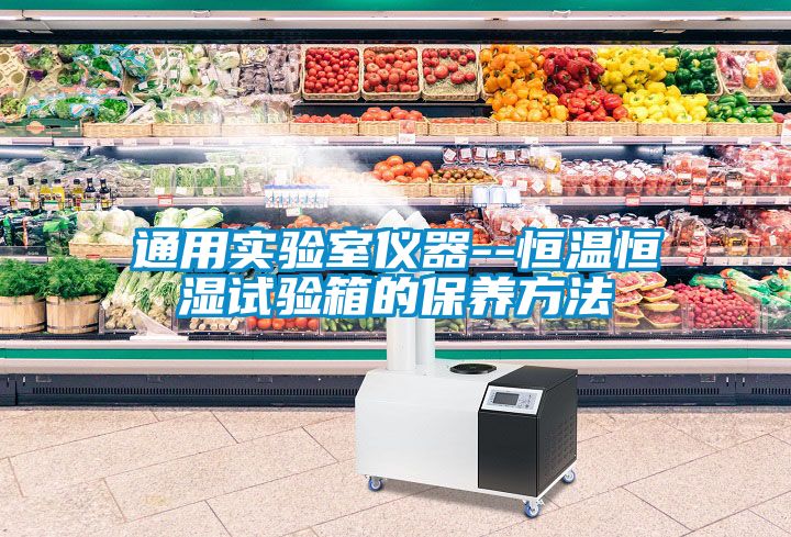 通用實驗室儀器--恒溫恒濕試驗箱的保養(yǎng)方法