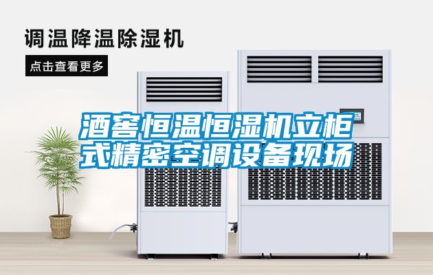 酒窖恒溫恒濕機立柜式精密空調設備現場