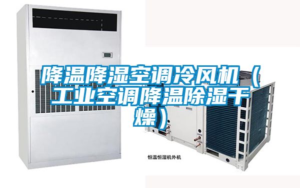 降溫降濕空調(diào)冷風(fēng)機(jī)（工業(yè)空調(diào)降溫除濕干燥）