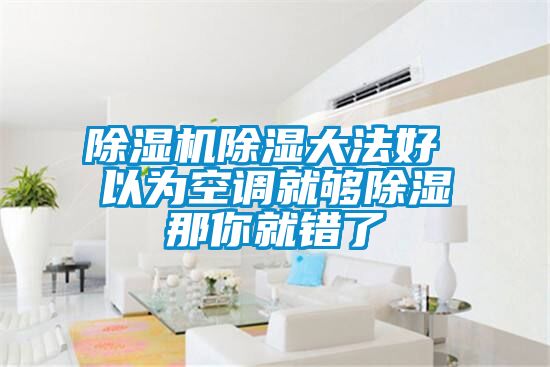 除濕機除濕大法好 以為空調就夠除濕那你就錯了