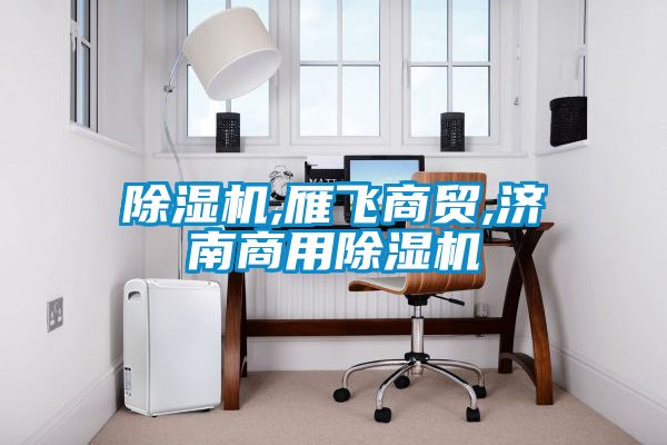 除濕機,雁飛商貿,濟南商用除濕機