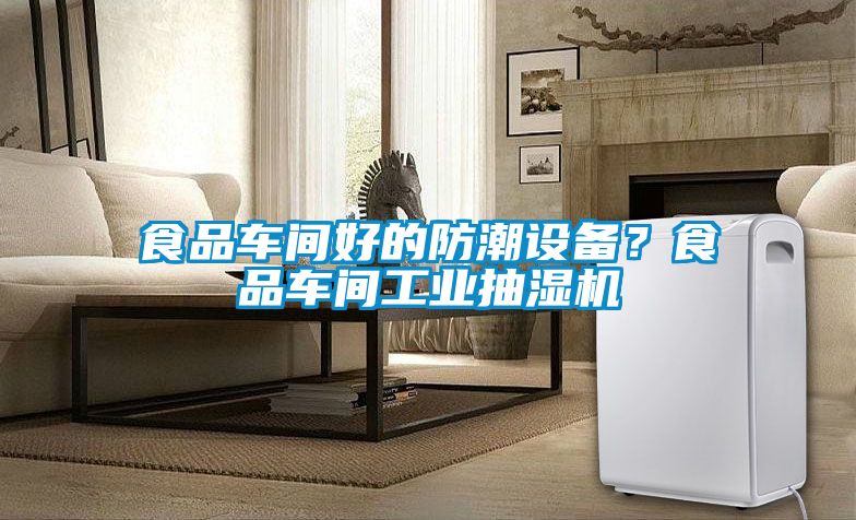 食品車間好的防潮設備？食品車間工業抽濕機