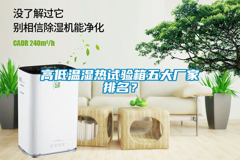高低溫濕熱試驗箱五大廠家排名？