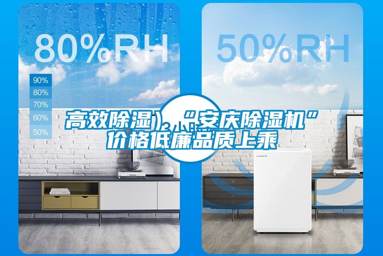 高效除濕）“安慶除濕機”價格低廉品質上乘