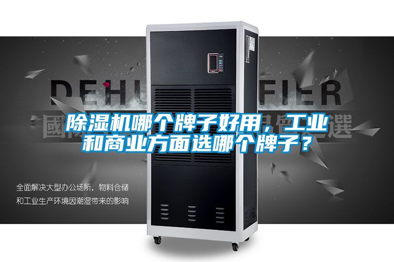除濕機哪個牌子好用，工業和商業方面選哪個牌子？