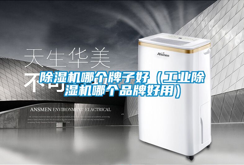 除濕機哪個牌子好（工業除濕機哪個品牌好用）