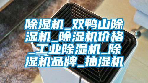 除濕機(jī)_雙鴨山除濕機(jī)_除濕機(jī)價(jià)格_工業(yè)除濕機(jī)_除濕機(jī)品牌_抽濕機(jī)