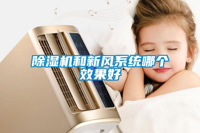 除濕機和新風系統(tǒng)哪個效果好