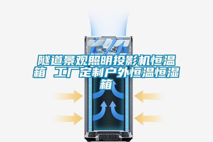 隧道景觀照明投影機(jī)恒溫箱 工廠定制戶外恒溫恒濕箱