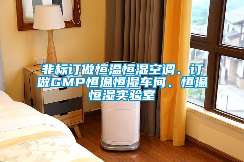 非標訂做恒溫恒濕空調、訂做GMP恒溫恒濕車間、恒溫恒濕實驗室