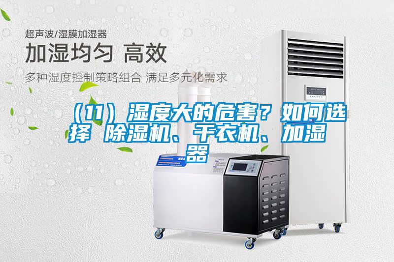 （11）濕度大的危害？如何選擇 除濕機、干衣機、加濕器