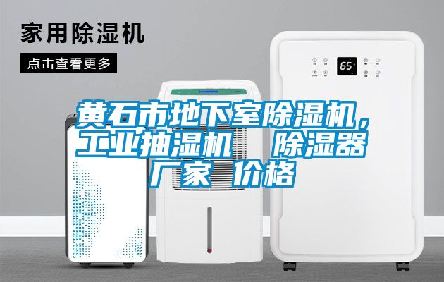 黃石市地下室除濕機(jī)，工業(yè)抽濕機(jī)  除濕器廠家 價(jià)格