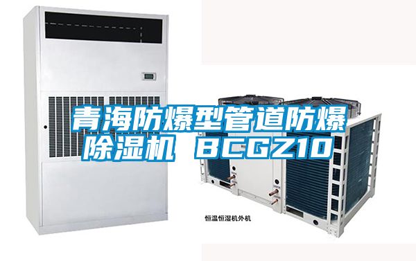 青海防爆型管道防爆除濕機 BCGZ10