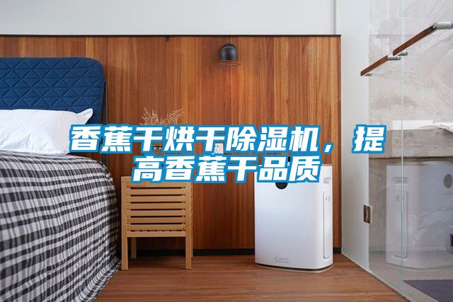 香蕉干烘干除濕機(jī)，提高香蕉干品質(zhì)
