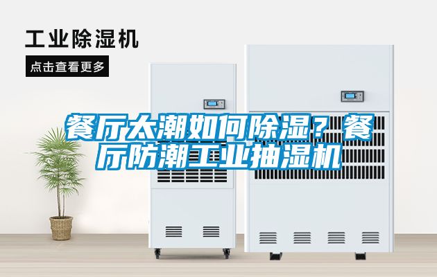 餐廳太潮如何除濕？餐廳防潮工業(yè)抽濕機