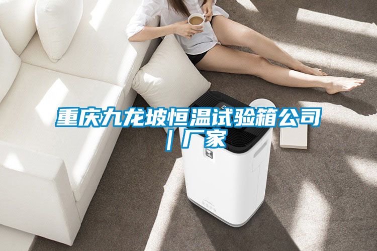 重慶九龍坡恒溫試驗箱公司｜廠家