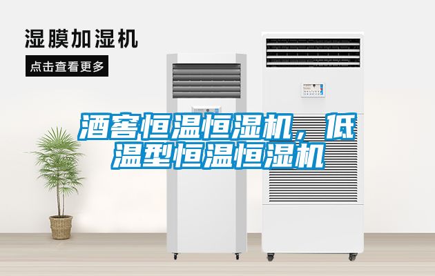 酒窖恒溫恒濕機，低溫型恒溫恒濕機