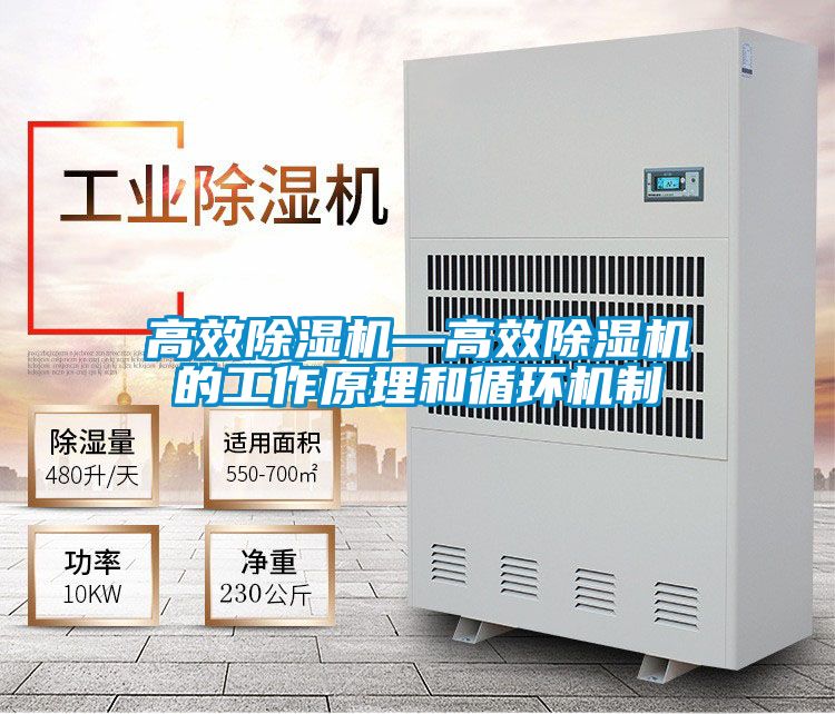 高效除濕機—高效除濕機的工作原理和循環機制