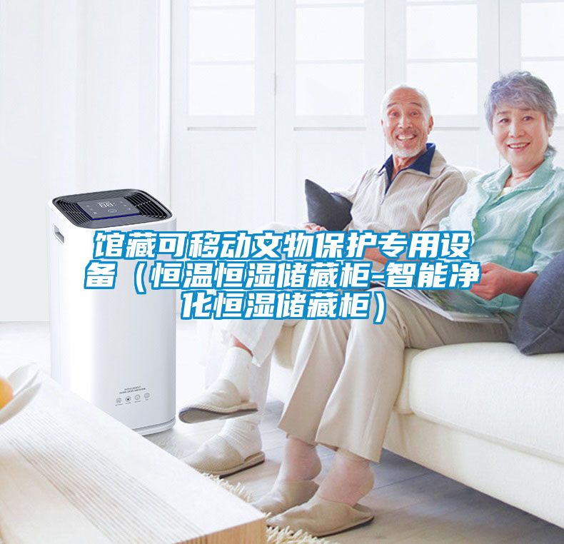 館藏可移動文物保護專用設備（恒溫恒濕儲藏柜-智能凈化恒濕儲藏柜）