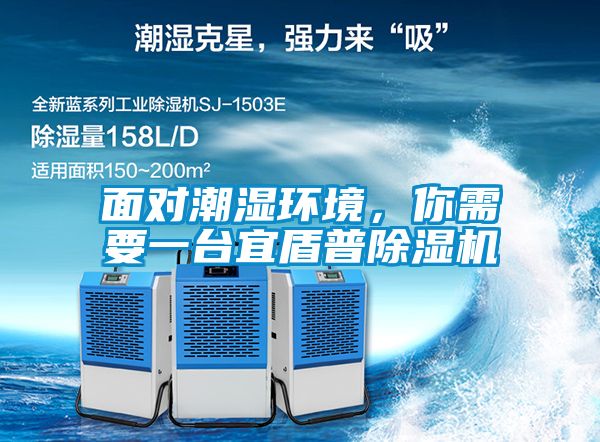 面對潮濕環(huán)境，你需要一臺宜盾普除濕機(jī)