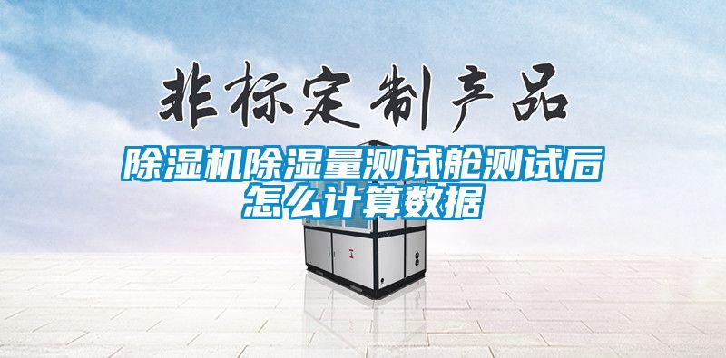 除濕機(jī)除濕量測試艙測試后怎么計算數(shù)據(jù)