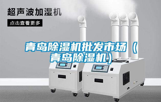 青島除濕機(jī)批發(fā)市場(chǎng)（青島除濕機(jī)）