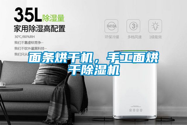 面條烘干機(jī)，手工面烘干除濕機(jī)