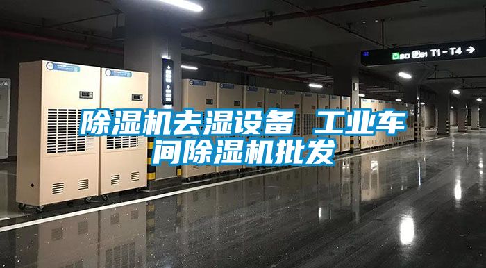 除濕機去濕設備 工業車間除濕機批發