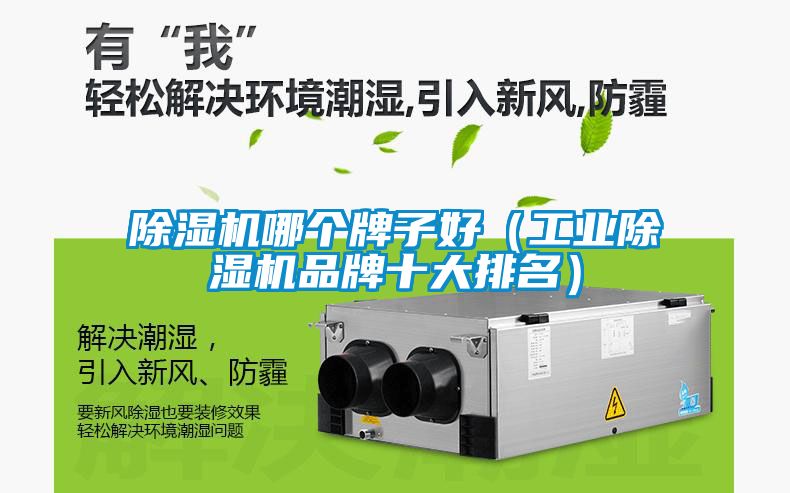 除濕機哪個牌子好（工業除濕機品牌十大排名）