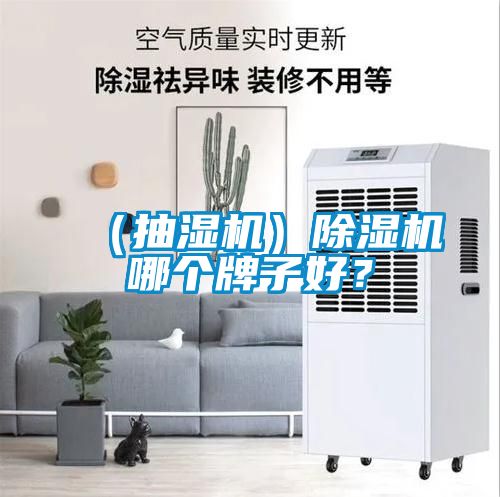 （抽濕機）除濕機哪個牌子好？