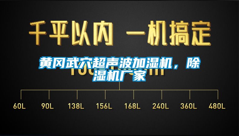 黃岡武穴超聲波加濕機(jī)，除濕機(jī)廠家