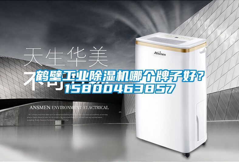 鶴壁工業除濕機哪個牌子好？15800463857