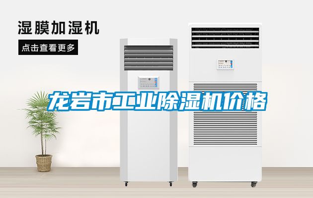 龍巖市工業除濕機價格
