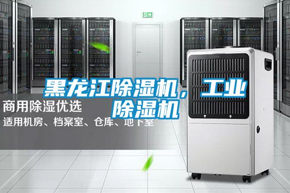 黑龍江除濕機，工業除濕機