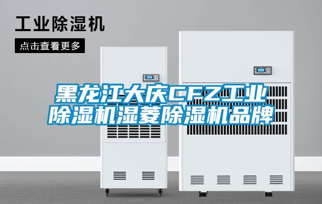 黑龍江大慶CFZ工業除濕機濕菱除濕機品牌