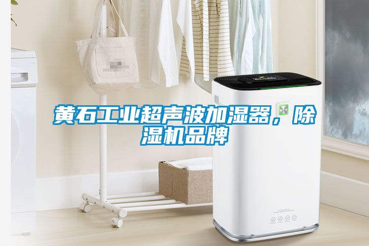 黃石工業(yè)超聲波加濕器，除濕機品牌